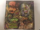 ACID WITCH Witchtanic Hellucinations 2013 COLOR VINYL LP death metal autopsy