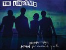THE LIBERTINES - ANTHEMS FOR DOOMED YOUTH NEW VINYL