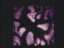 Mazzy Star **Seasons of Your Day *BRAND NEW RECORD LP VINYL