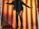 Last Shadow Puppets EVERYTHING YOU'VE COME TO EXPECT Vinyl LP Arctic Monkeys NEW