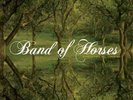 Band of Horses- Everything All the Time Vinyl Record