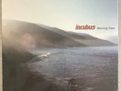 Incubus MORNING VIEW 2001 LP Vinyl Album Sealed Shrinkwrap