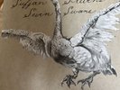 sufjan stevens vinyl seven swans