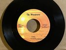 HEAR  RARE EX OUTSIDER DOO WOP 45 The Wanderers Joann