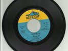 Northern Soul   The Ad Libs   Johnny My Boy   Blue Cat