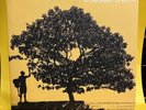 Rare EX LP Jack Johnson In Between Dreams LIMITED VINYL Early 2005 EU Press