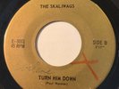 GARAGE PUNK The Skaliwags TURN HIM DOWN / 365 DAYS A YEAR 45 rare KILLER Canada