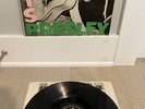 ELVIS PRESLEY Self-Titled / OG RCA Victor MONO ROCKWAY Pressing / LPM-1254 / VG