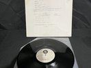 The Zarkons - Between The Idea & Reality Falls The Shadow LP - RARE TEST PRESS