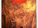 DESULTORY  forever gone LP 1.Press 1992 Death Entombed Dismember Gorguts Deicide
