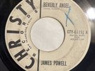 JAMES POWELL   BEVERLY ANGEL / LIDIA  CHRISTY  ORIG. GOLLIWOGS JOHN FOGHERTY 45