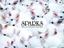 SPARKS - Hello Young Lovers 2-LP New SEALED 180G vinyl