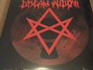 RSD BLACK FRIDAY 2022: Dream Widow (Foo Fighter, Dave Grohl) (ltd. LP 12