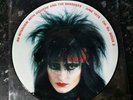 RARE COLLECTABLE SIOUXSIE AND THE BANSHEES PICTURE DISC INTERVIEW IN PARK 1978
