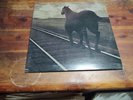 LP BRUCE COCKBURN Night Vision GOLD VINYL GATEFOLD w/insert CANADA NM / EX.   E