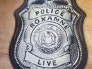 THE POLICE – Roxanne/Losing You - Live Picture Disc Single Limited Edition