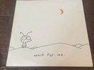 Moby Wait for Me vinyl