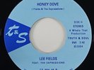 Lee Fields 