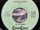cosmic aor prog power pop 7” PALADINS Burn down the Night Adjacent Stones  Mp3