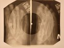 Rolling Stones - You Gotta Move X-RAY HANDS BONES RECORDS USSR 218