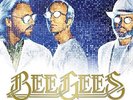 Bee Gees - Timeless The All-Time Greatest Hits - New Vinyl Record - X8200A