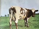 Pink Floyd - Atom Heart Mother - 1st Pressing, Original Gatefold & Inner Sleeve