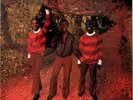 THE MAYTALS- Monkey Man LP (NEW 2016 Trojan Reggae Reissue) 1970 Roots Album