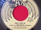 killer Lovers Rock WENDY ALLEYNE Dont Give Up 45 DYNAMICS 7