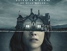 THE HAUNTING OF HILL HOUSE LimitedVinyl Soundtrack RED DOOR MARBLE VARIANT