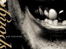 Sponge Wax Ecstatic (Vinyl) (US IMPORT)