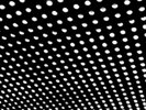 Beach House Bloom (Vinyl) 12