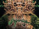 Shpongle - Codex VI 3LP NEW