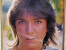 PARTRIDGE FAMILY 