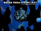William Orbit - Water From A Vine Leaf UK Maxi 1993 (VG/VG-) Virgin VST1465 ´