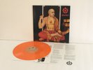 SHELTER perfection of Lp ORANGE Vinyl Record with lyrics insert , youth of today