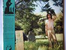 Ariel Pinks Haunted Graffiti The Doldrums Remastered Vinyl Record New Sealed