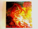 MORBID ANGEL BLESSED ARE THE SICK LP REPRESS IMPORT VINYL DEATH METAL