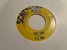 RARE 1969 ZZ TOP Salt Lick/ Miller's Farm 45