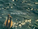 Hans-Joachim Roedelius Durch Die Wuste (Vinyl) 12