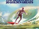 THE BEACH BOYS - 20 GOLDEN GREATS 1976 ORIGINAL LP VINYL VG+/NR MINT
