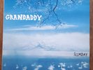 GRANDADDY - SUMDAY - ORIGINAL Ist ISSUE DOUBLE VINYL LP  2003