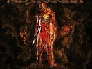 MESHUGGAH IMMUTABLE (GOLD VINYL/2LP) (US IMPORT) VINYL LP NEW