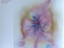 Jon Hopkins - Music For Psychedelic Therapy [Limited Edition Vinyl 2LP] NEW