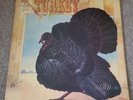 Wild Turkey - Turkey LP Original UK 1972 Chrysalis prog classic rock