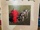 RUSH- SIGNALS 1982 MERCURY SRM-1-4063 CLASSIC HARD ROCK PROG METAL Vinyl Record
