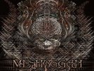 Meshuggah ‎- Koloss 2 x LP COLORED Vinyl Album Limited Metal DJENT RECORD