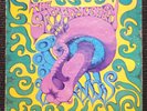 The Sacred Mushroom Vinyl Record 1969 - Parallax Label - P-4001  RARE