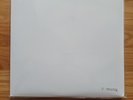 The Beatles - The Beatles (White Album) - 2014 Mono, ungespielt