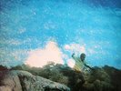 Lonnie Smith - Gotcha' (LP, Album)