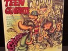 TEENGENERATE SAVAGE SYMPATHY FOR THE RECORD INDUSTRY VINYL LP 10